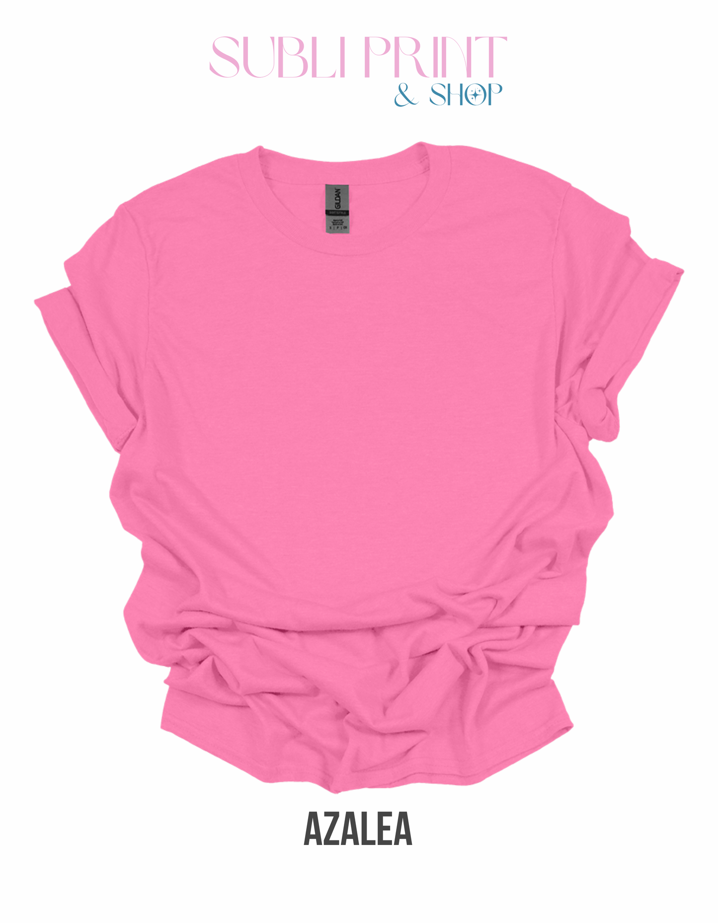 Gildan Adults Blank T-Shirt (Small to X-Large) G8000